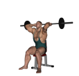 Triceps Extension - Seated Barbell Wide Narrow